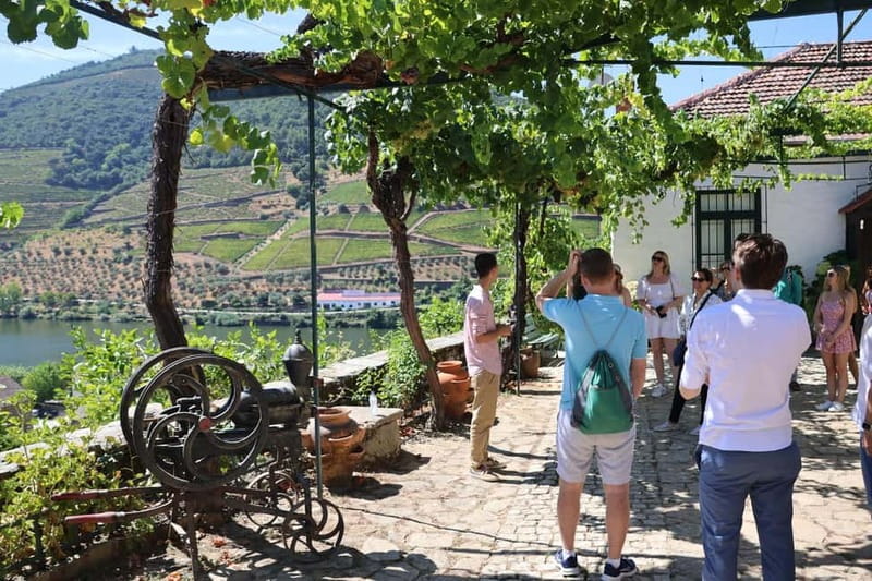 Porto: DOURO VALLEY Half-day Tour - Porto to Douro Valley in One Day: How Much Is Actually Enough?