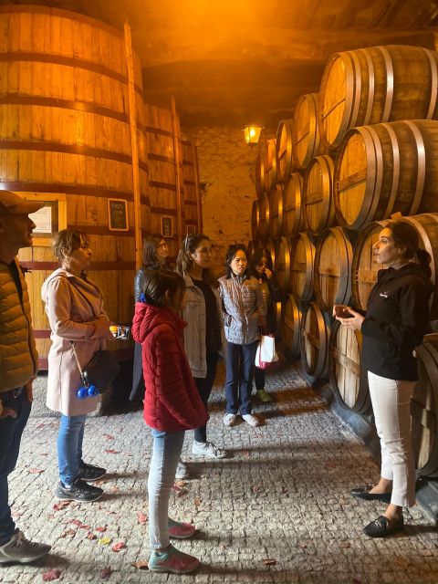 Porto: DOURO VALLEY Half-day Tour - Winery Time: Boutique Tasting With Local Bites (Not Just a Pour-and-Go)