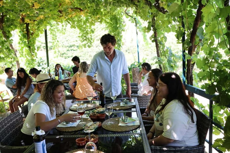 Porto: DOURO VALLEY Half-day Tour - Picture Stops and Timing: Why This Feels Efficient (and What It Costs)