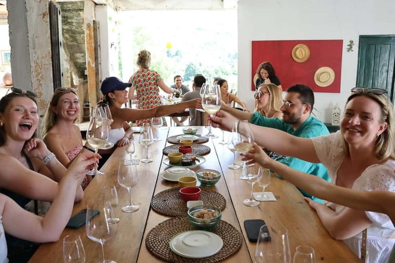 Porto: DOURO VALLEY Half-day Tour - Price and Value: Is $83 Fair for the Douro Half-Day?