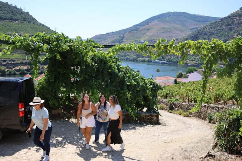 Porto: DOURO VALLEY Half-day Tour - Who Should Book This Porto to Douro Half-Day Tour?