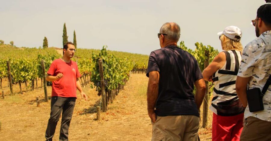 Porto: Douro Valley History & Wine Tour with Cruise & Lunch - Why this Douro day from Porto feels like good value