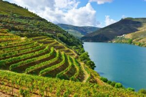 Porto: Douro Valley History & Wine Tour with Cruise & Lunch - Meeting by Porto Cathedral (Sé) and setting yourself up for the day