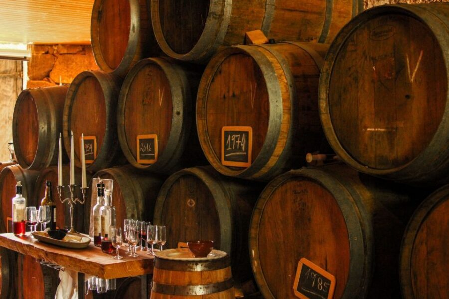 Porto: Douro Valley History & Wine Tour with Cruise & Lunch - Lunch in the Douro: 3 courses, local wine, and real Portuguese comfort