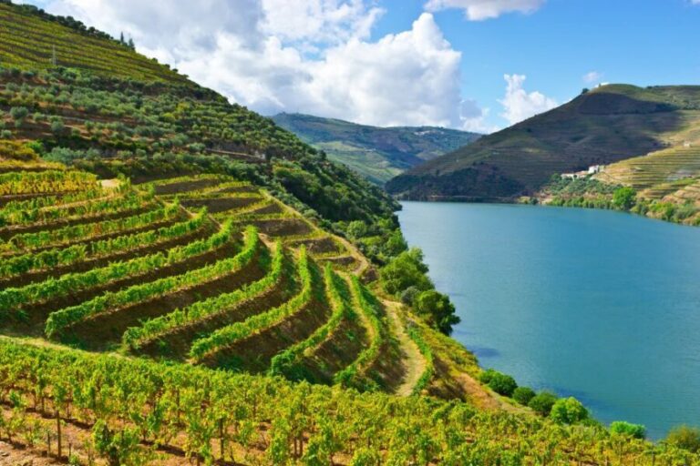 Porto: Douro Valley History & Wine Tour with Cruise & Lunch - Meeting by Porto Cathedral (Sé) and setting yourself up for the day