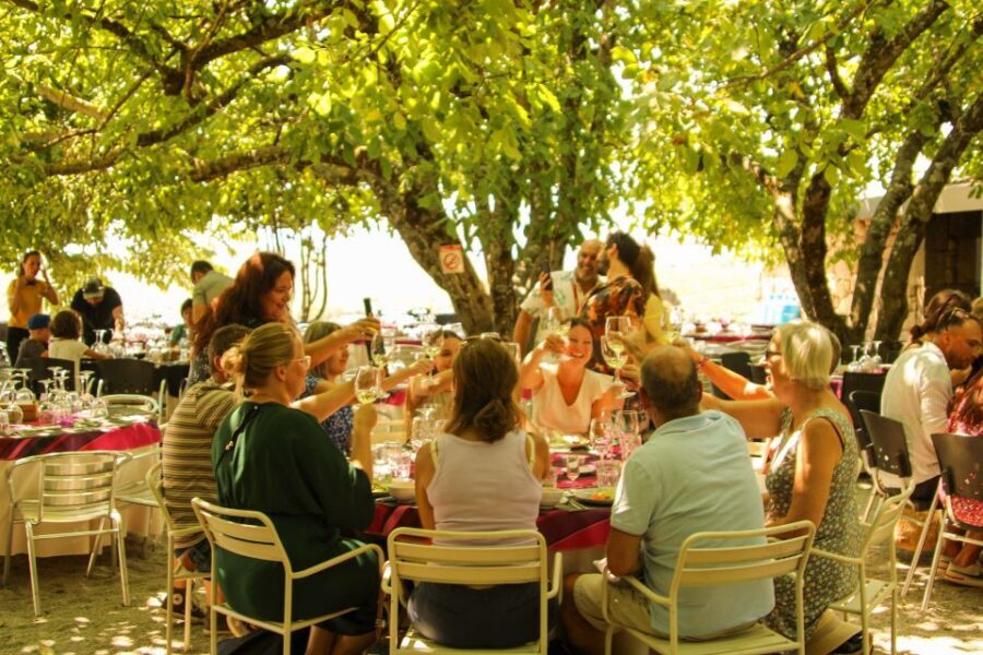Porto: Douro Valley History & Wine Tour with Cruise & Lunch - The Port wine estate visit: what you learn and what you taste