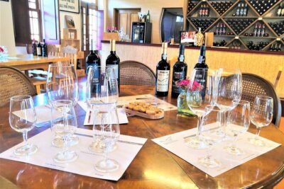 Porto: Douro Valley Private Grand Experience - Private - Pinhão by private boat: the Douro feels different from the water