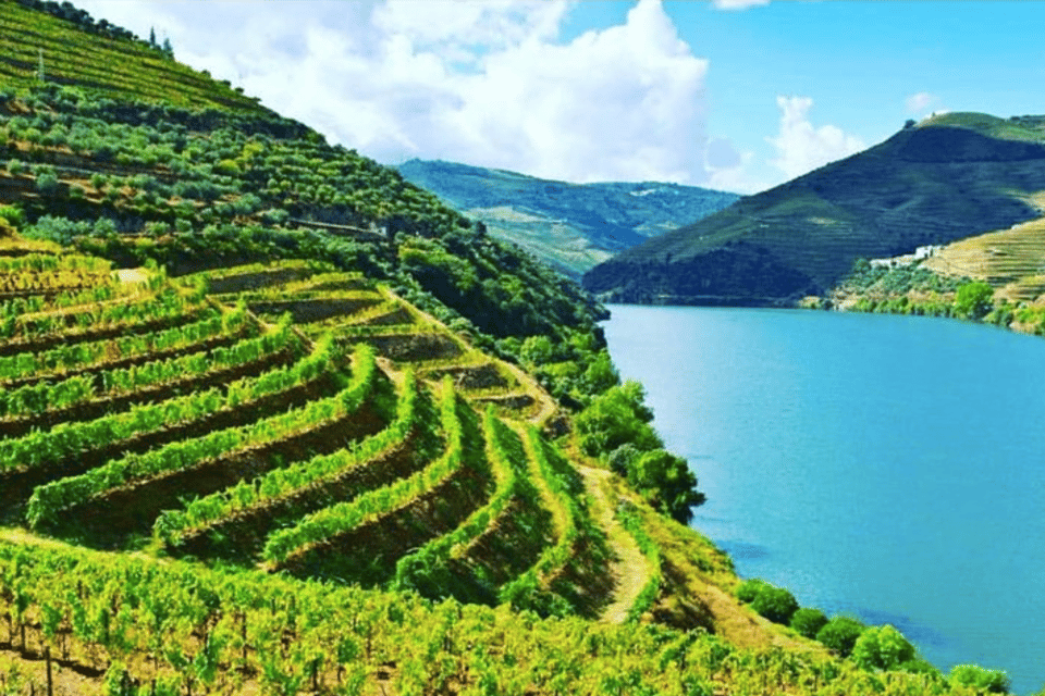 Porto: Douro Valley Tour w/ 3 Tastings, Lunch, & Opt. Cruise - Key highlights you’ll feel right away
