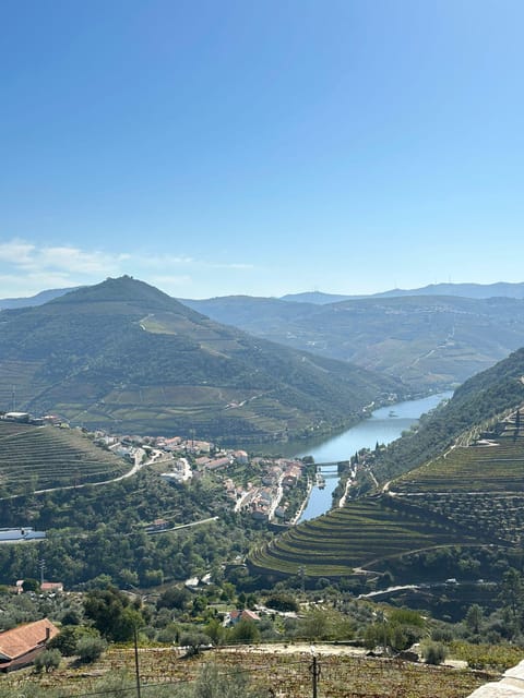 Porto: Douro Valley Tour w/ 3 Tastings, Lunch, & Opt. Cruise - Olive Oil Museum Tasting: A Different Angle on the Region