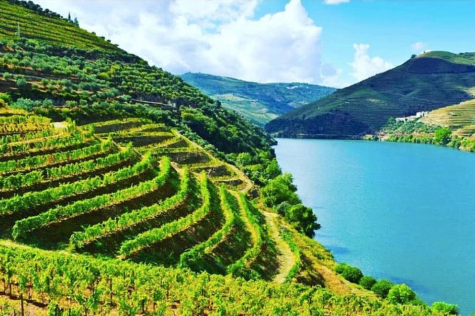 Porto: Douro Valley Tour w/ 3 Tastings, Lunch, & Opt. Cruise - Amarante for Vinho Verde, Charcuterie, and Cheese