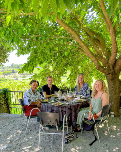 Porto: Douro Valley Tour with 2 Wineries, Lunch and Cruise - The N222 road and lookout stops: how you see the valley without rushing
