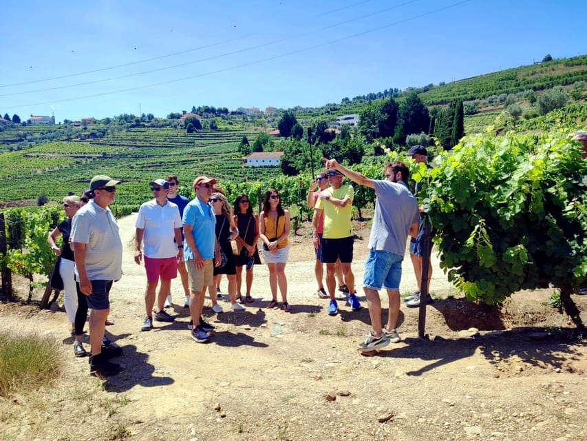 Porto: Douro Valley Vineyards Tour with Lunch & River Cruise - Key things that make this Douro tour work