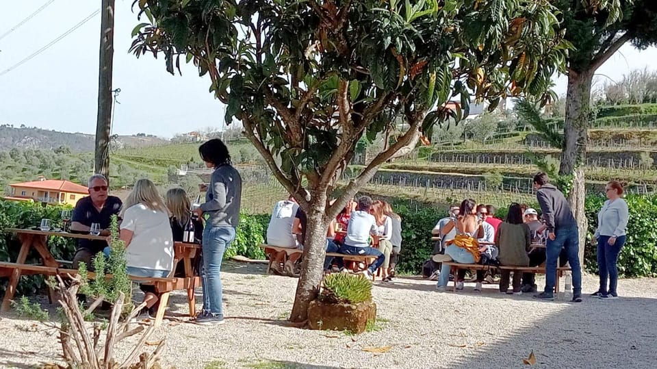Porto: Douro Valley Vineyards Tour with Lunch & River Cruise - Who should book this Douro Valley day trip