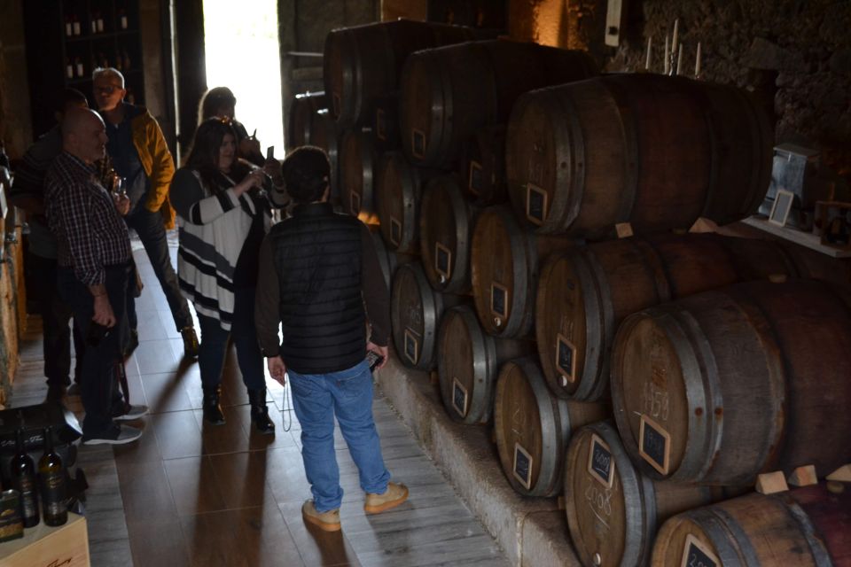 Porto: Douro Valley Vineyards Tour with Lunch & River Cruise - Lamego wine tasting: Port education without the big-tour feeling