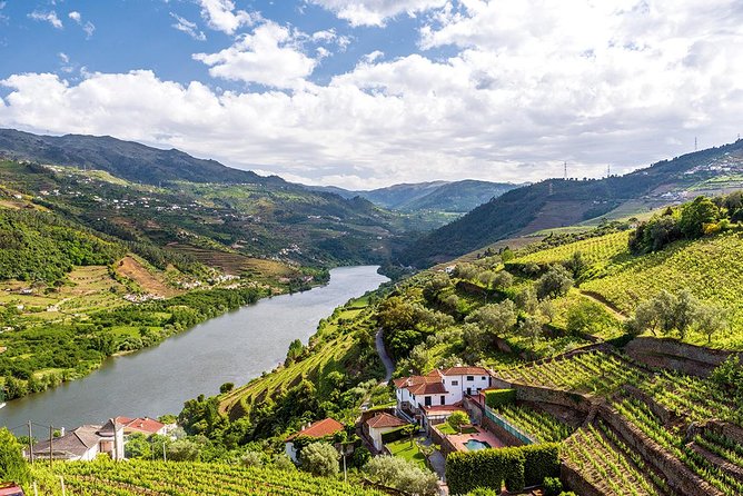 Porto: Douro Valley Wine Tour Including Lunch - Lunch Break: Traditional 3-Course Meal with Wine Pairing