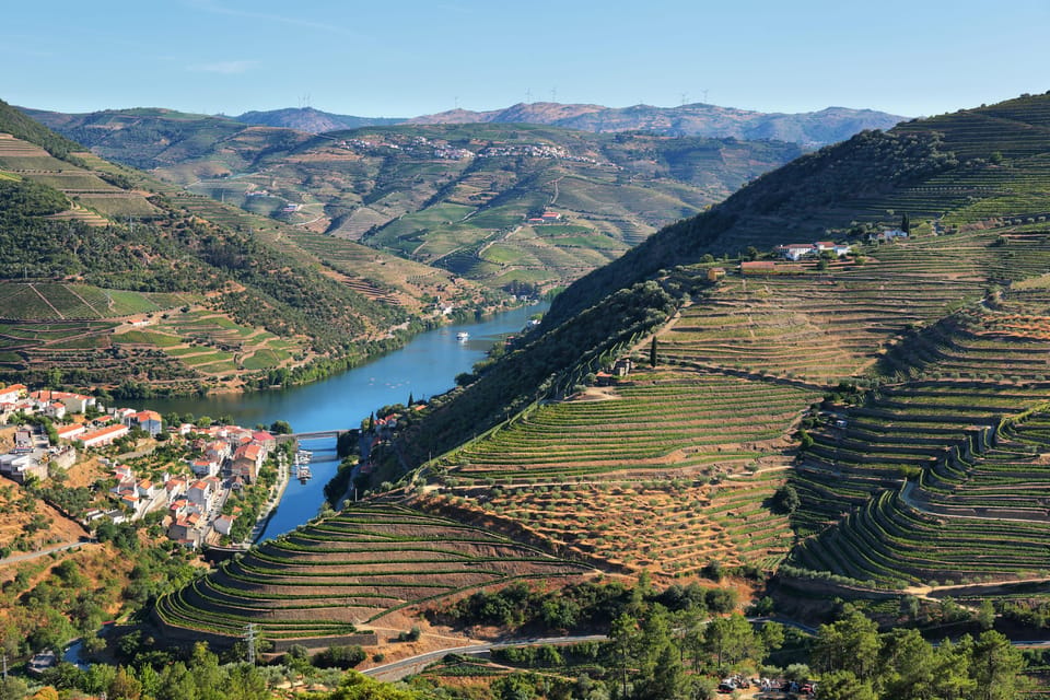 Porto: Douro Valley Wine Tour with a Sommelier & Boat Trip - Key highlights to know before you go