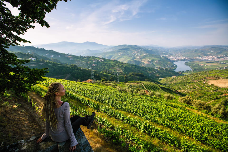Porto: Douro Valley Wine Tour with a Sommelier & Boat Trip - Second winery in Douro hills: Port production, aging, and a 5th-generation feel