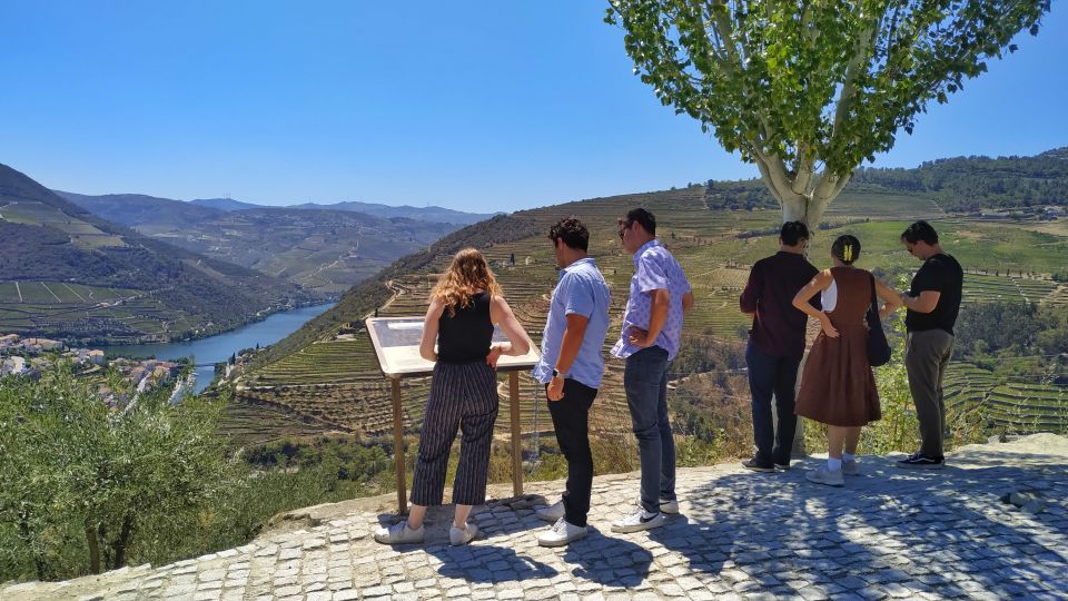 Porto: Douro Valley Wine Tour with Tastings, Boat, and Lunch - Key points worth knowing