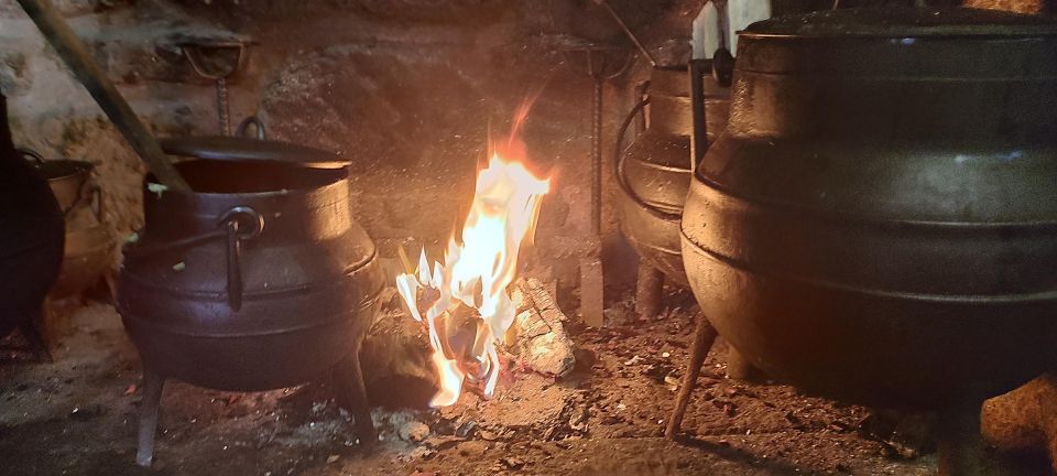 Porto: Douro Valley Wine Tour with Tastings, Boat, and Lunch - Who This Tour Fits Best (and Who Should Skip It)