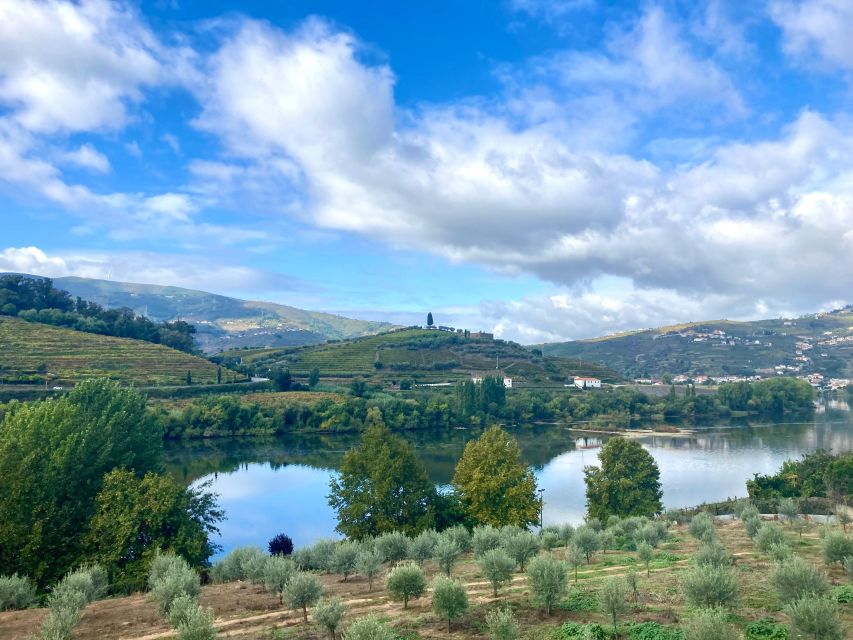 Porto: Douro Valley Wine Tour with Tastings, Boat, and Lunch - Port Wine Lesson at a Renowned Producer