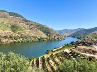 Porto: Douro Valley Wine Tour with Tastings, Boat, and Lunch - From Porto to Peso da Régua: The Road Trip and Coffee Stop
