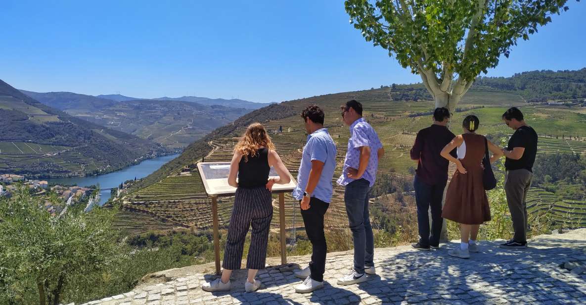 Porto: Douro Valley Wine Tour with Tastings, Boat, and Lunch - The N222 Scenic Drive and Photo Stops That Actually Help