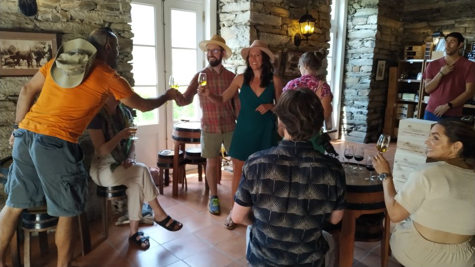 Porto: Douro Valley Wine Tour with Tastings, Boat, and Lunch - Wine Guide Quality: What You Learn Beyond Tasting