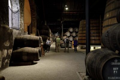 Porto: Graham's Port Lodge Tour and Port Essentials Tasting - Price and Timing: Is $53 for Two Hours Worth It?