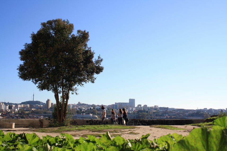 Porto: Half-Day Jewish Tour - Largo do Terreiro: orientation and context before the route opens up