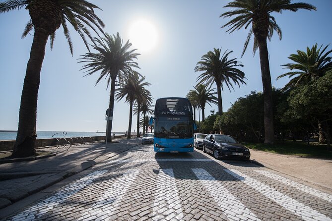 Porto Hop On Hop Off Bus Tour with Wine tasting & Night tour - Price and value: is $32.44 a smart buy?