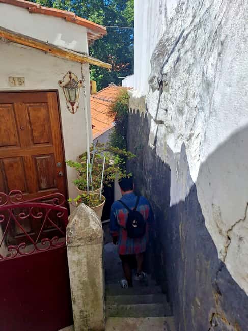 Porto: Jewish Heritage Walking Tour - Esnoga stairs and the Virtudes garden: the hardest part, done right