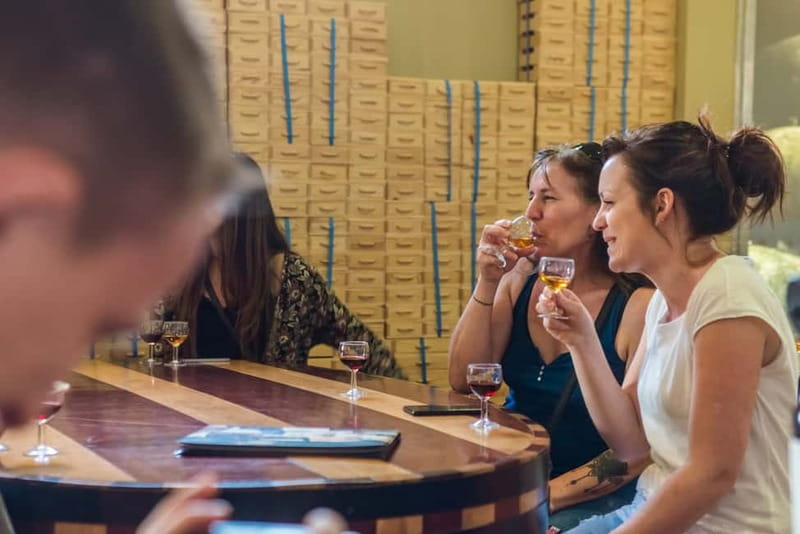 Porto: Magic Train Tour and Port Wine Cellar with Tastings - Key things to love about the Magic Train and Port cellar