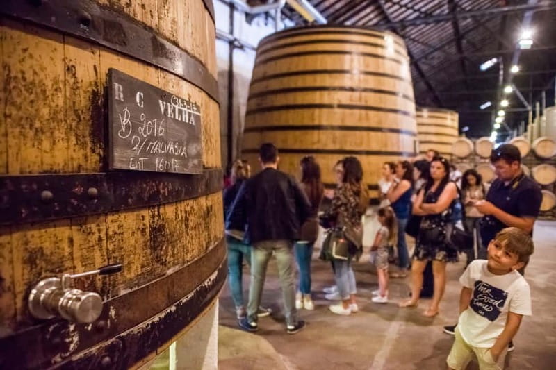 Porto: Magic Train Tour and Port Wine Cellar with Tastings - Getting oriented fast: Sé Catedral and the train ride that works