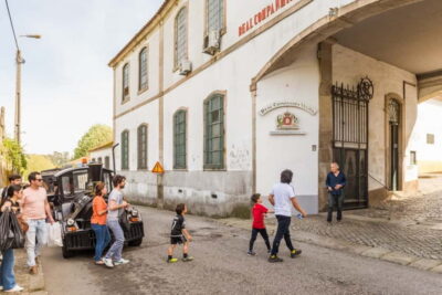 Porto: Magic Train Tour and Port Wine Cellar with Tastings - The route: Porto monuments by track, not by time spent getting lost