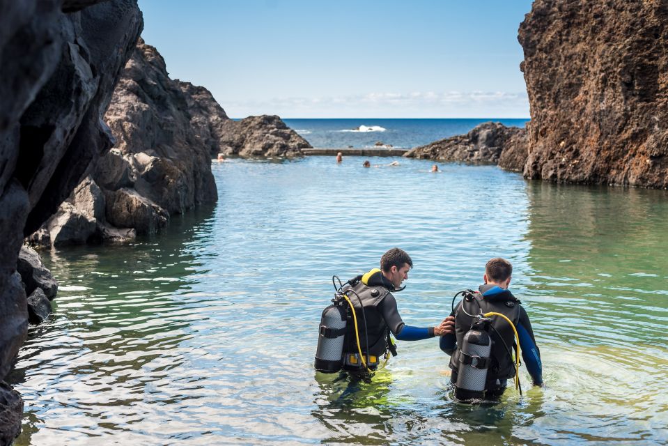 Porto Moniz: Diving with Sharks and Rays in Madeira Aquarium - Seeing mantas, rays, and sharks up close without the open-ocean stress