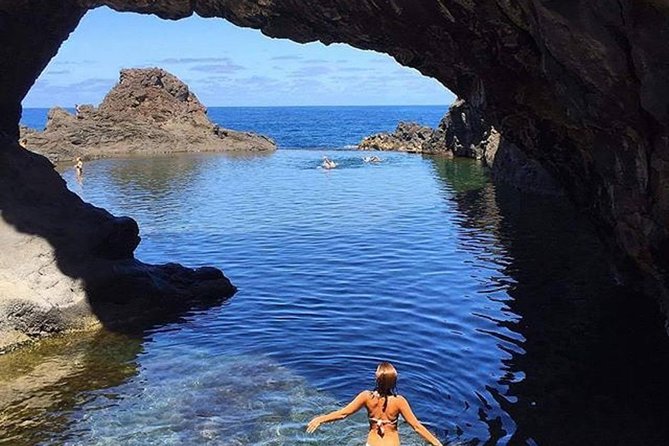 Porto Moniz Lava Pools, Fanal Forest and Skywalk 4x4 Experience - Vereda do Fanal: cloud-forest trees and the “quiet” Madeira mood