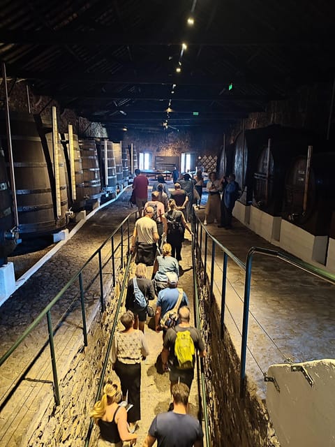 Porto: Port and Douro Wine Walking Tour with 9 Tastings - Starting at Posto de Turismo and what the pacing feels like