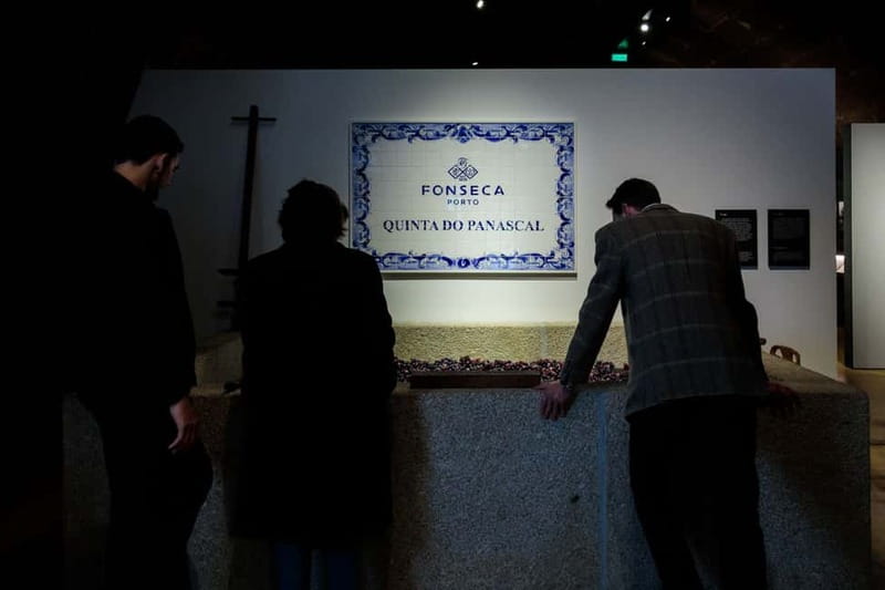 Porto: Port Cellar Visit and Wine Tasting at Fonseca - Who should book Fonseca, and who should skip it
