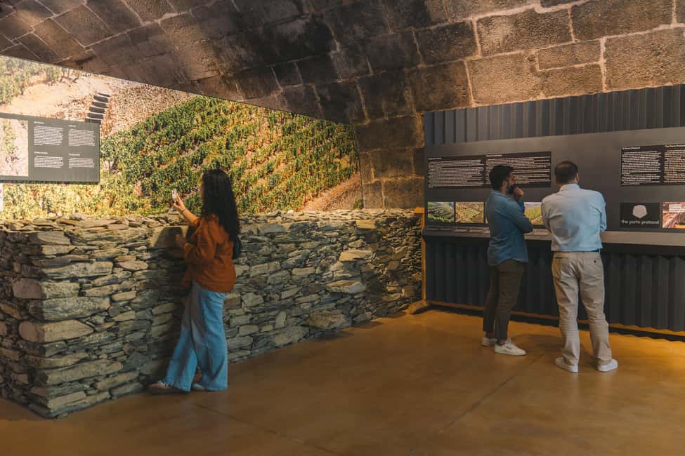 Porto: Port Cellar Visit and Wine Tasting at Fonseca - What the 200-year-old cellar story teaches you about Port