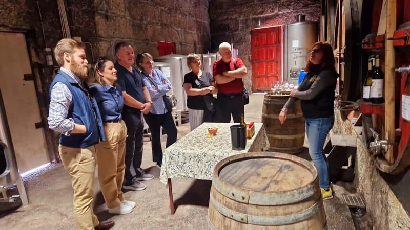 Porto: Premium Douro Valley Small-Group Tour, Cruise & Lunch - Key Things That Make This Douro Tour Worth It