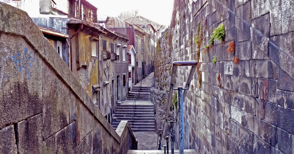 Porto: Private Bike Tour with a Local Guide - Alfândega to the Massarelos Side: Small Stops That Build Context