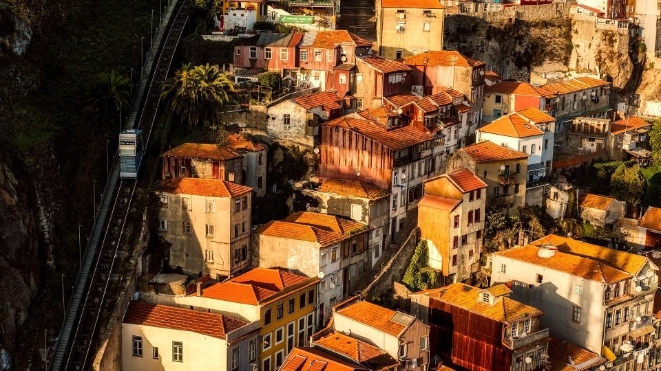 Porto Private Half Day Walking Tour: Cruise & Wine Tasting - Vila Nova de Gaia wine cellar tasting: turning Port into a place
