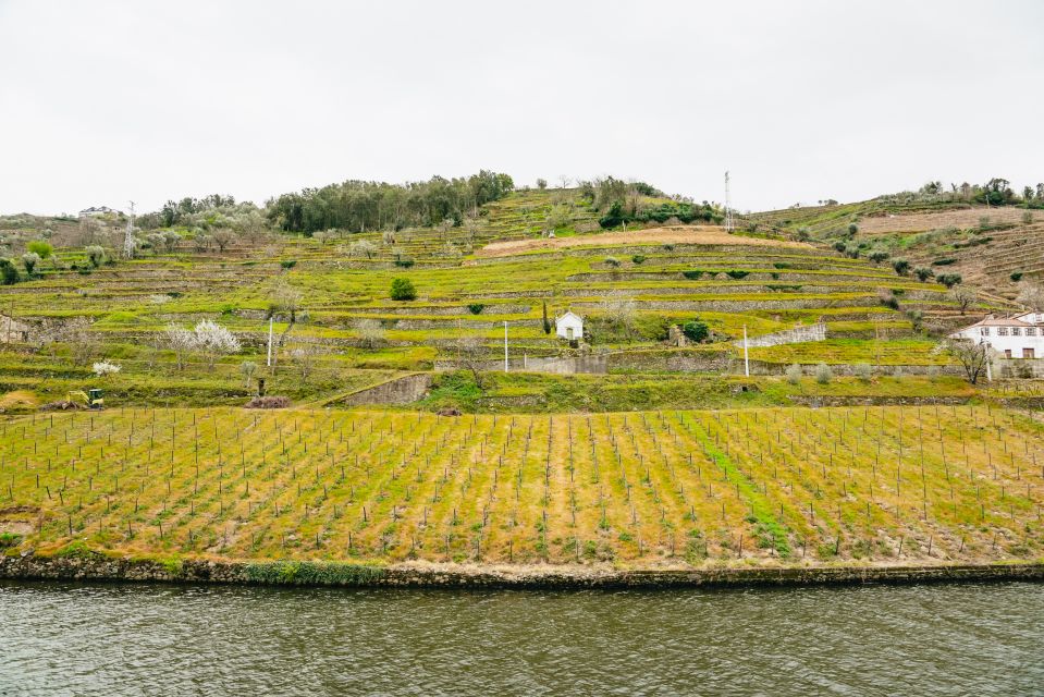 Porto - Régua - Porto Upstream Douro Cruise & Tour - Régua for 45 minutes: how to use the short free time well