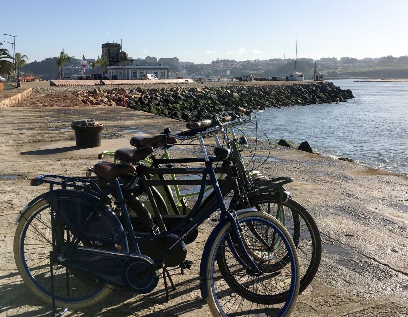 Porto: Riverside Panoramic E-Bike Tour - Parque da Cidade do Porto: the best kind of finish, green and calm