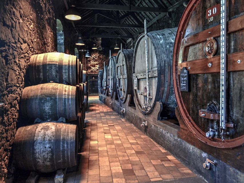 Porto: Self-Guided Bike and Boat Tour with Port Wine Tasting - Who This Porto Bike and Boat Day Fits Best