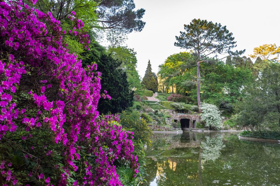 Porto: Serralves Foundation All Access Pass - Should you book the Porto Serralves Foundation All Access Pass?