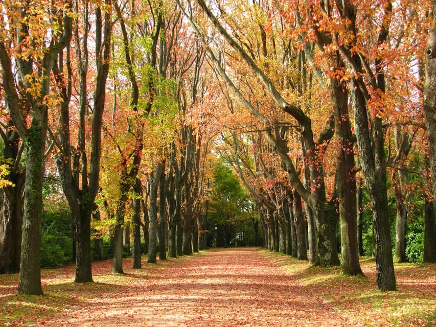 Porto: Serralves Foundation All Access Pass - The 18-hectare Serralves Park: where the art gets hands-on