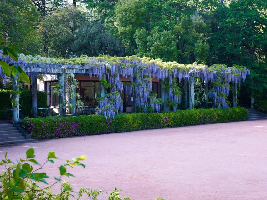 Porto: Serralves Foundation All Access Pass - How to pace a 1-day pass without feeling rushed