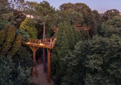 Porto: Serralves Park Entry Ticket - The TreeTop Walk: plan around maintenance in spring 2025