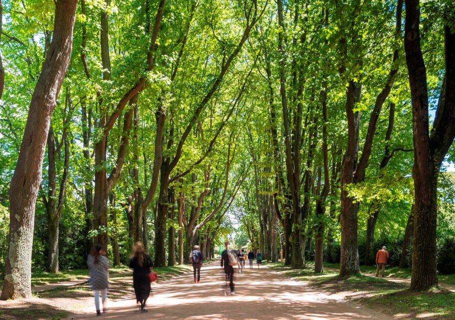 Porto: Serralves Park Entry Ticket - Should you book this Serralves Park entry ticket?